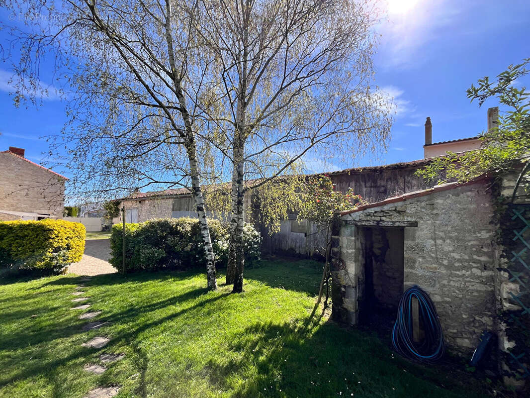 Maison à SAINT-MEDARD-D'AUNIS