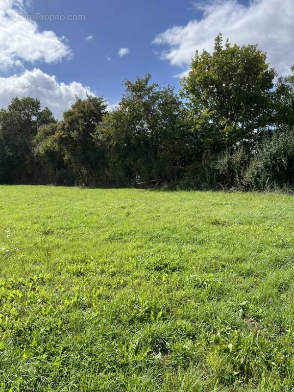 Terrain à SAINT-PATERNE