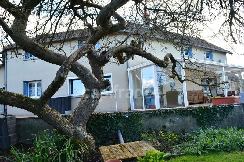 Maison à CUFFY
