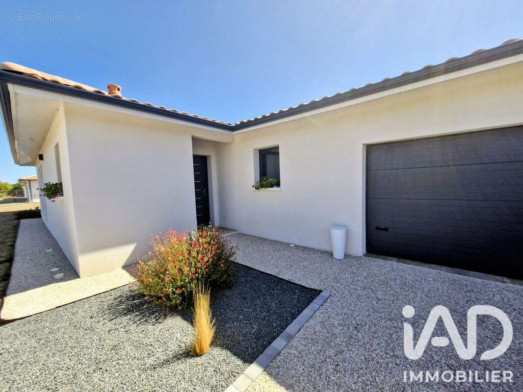 Photo 3