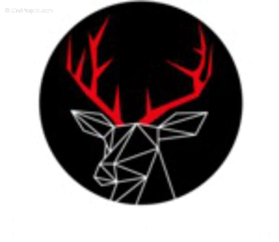 Photo 2 - Appartement à VILLEFRANCHE-SUR-SAONE