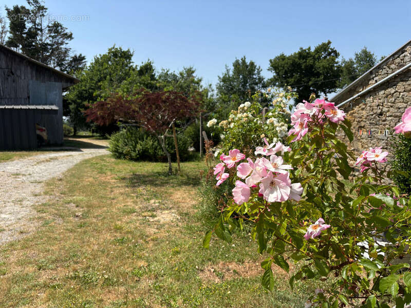 Maison à BAINS-SUR-OUST