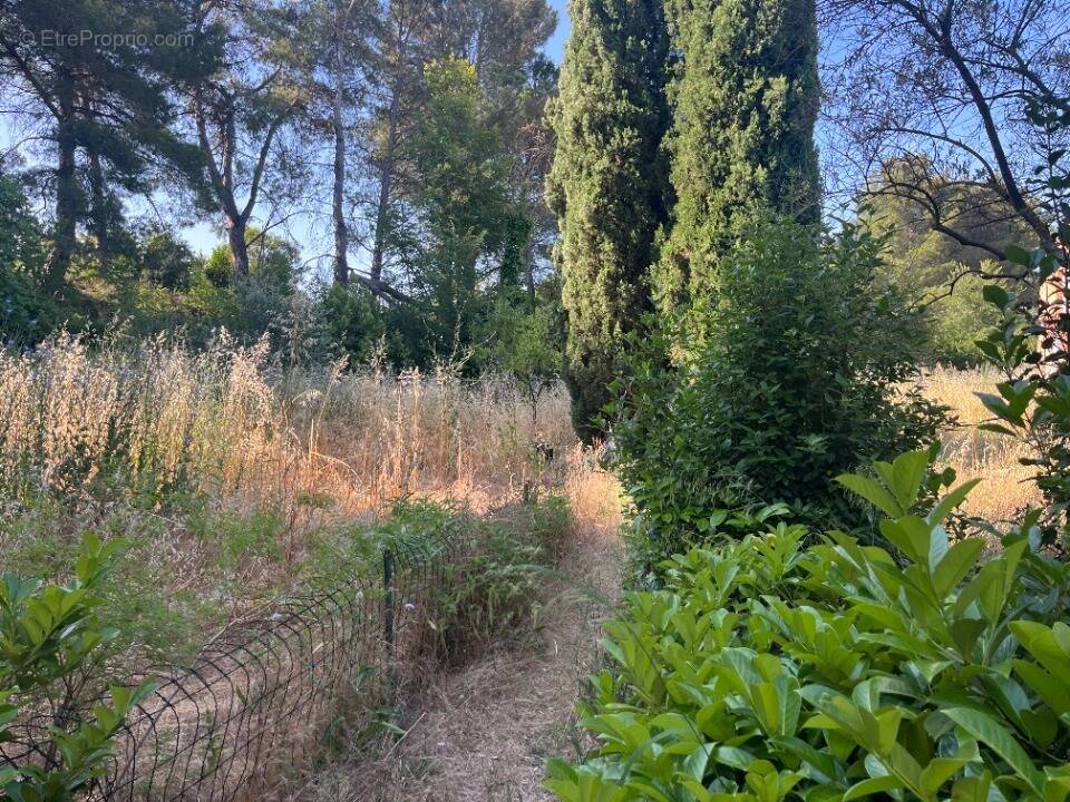 Terrain à LES PENNES-MIRABEAU