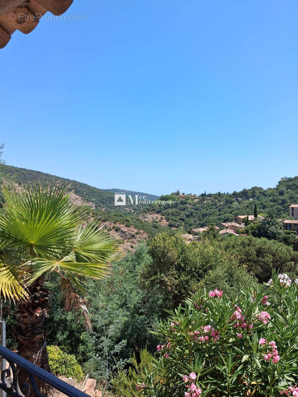 Maison à GRIMAUD