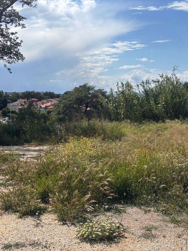Terrain à PERPIGNAN