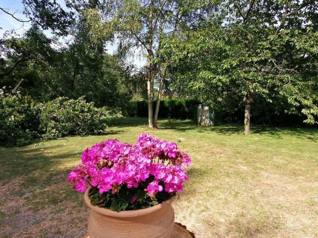 Pavillon individuelle 164 m2 Hab/Jardin et Pâture 3114 m2 - photo 19