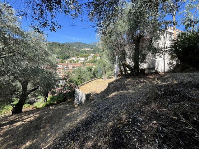 Terrain à MENTON