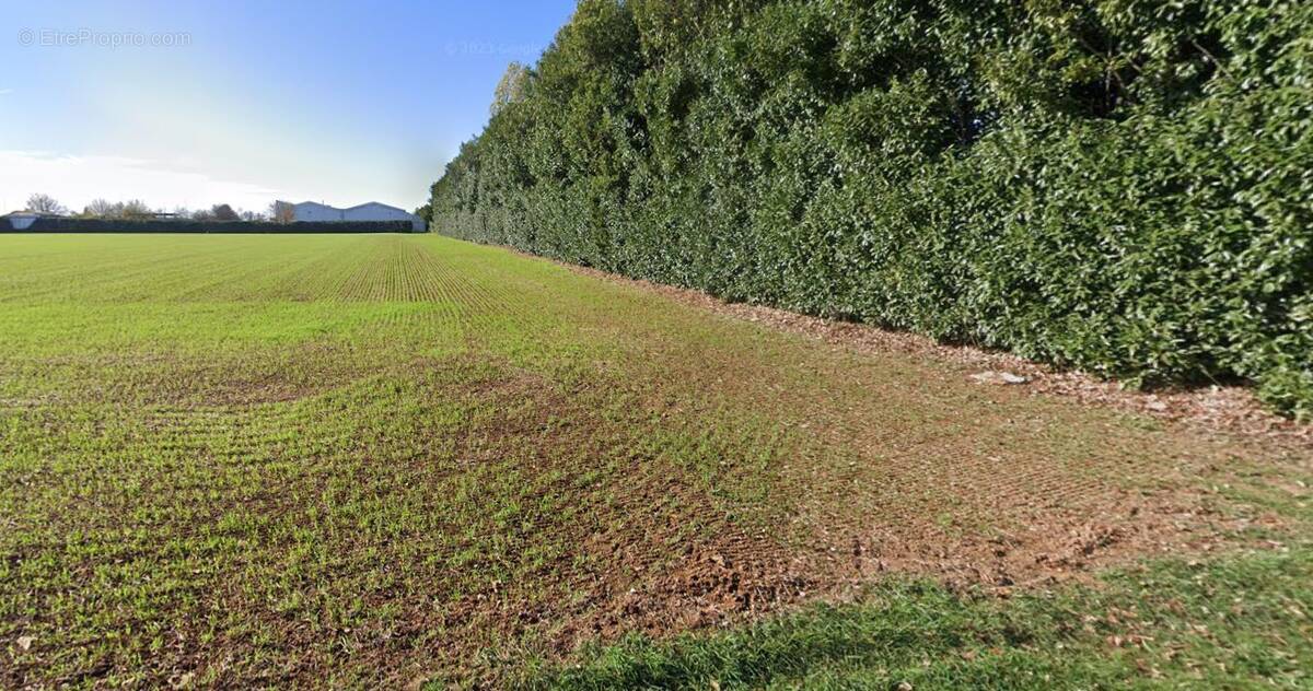 Terrain à NIORT
