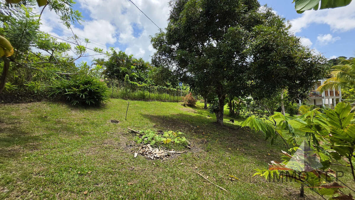 Terrain 500 m² à Riviere-Salee  - photo 2