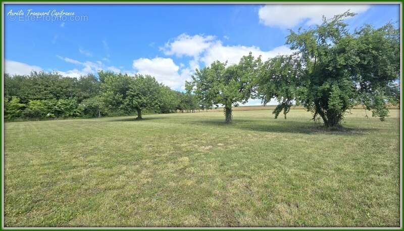 Maison FAMILIALE à vendre 8 pièces (226m²) à SAINT PIERRE DE JUILLERS (17) sur plus d'1 hectare de terrain avec HANGAR et DEPEND - photo 4