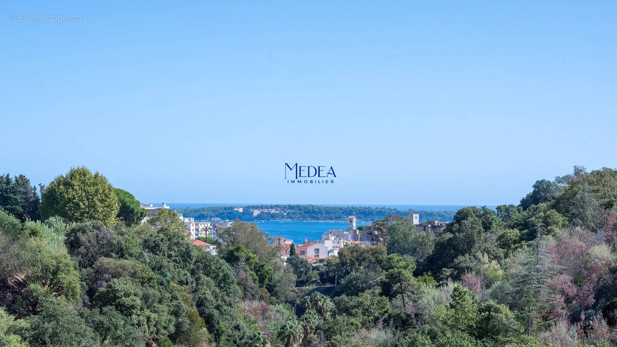 Photo 1 - Appartement à CANNES