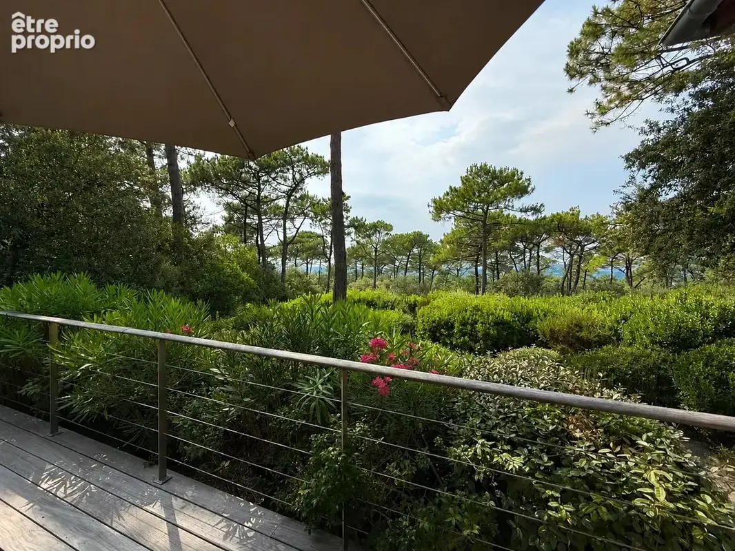 Pyla-sur-mer – l’ermitage – vue dominante sur le bassin - photo 1