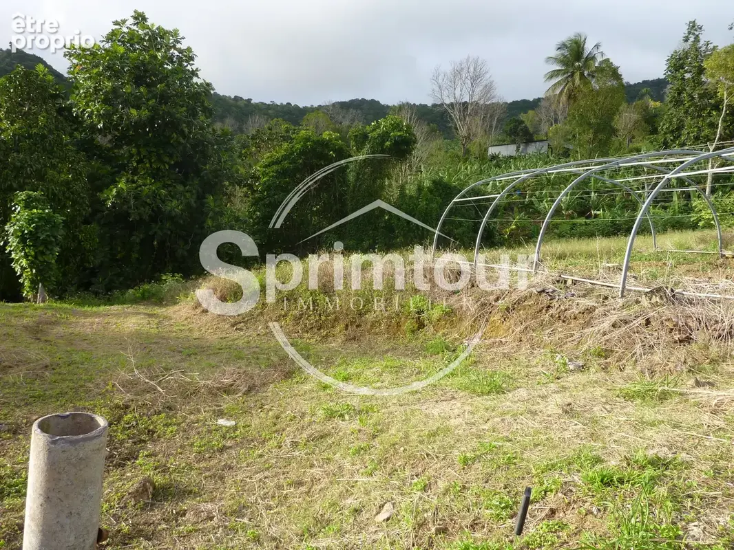 GOURBEYRE Terrain de 1200m2 - photo 4