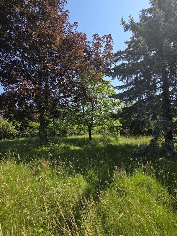 Maison à BERLAIMONT