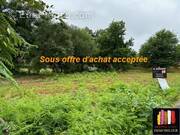 Terrain à MESSANGES