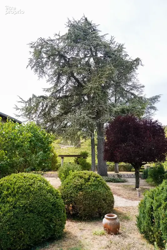 Maison à vendre 11 pièces MACON (71) - photo 5