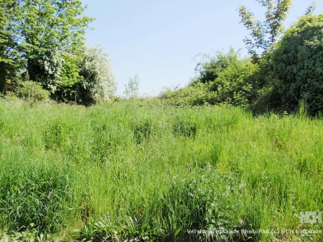 Terrain à RAIMBEAUCOURT