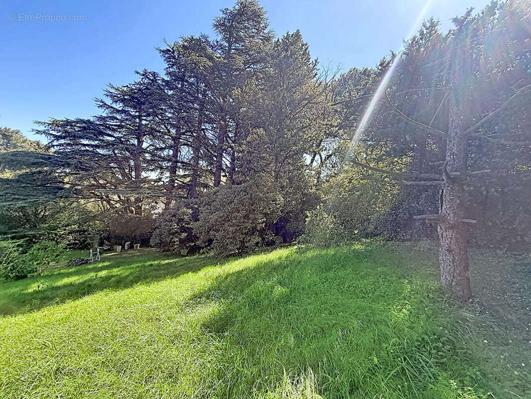 Maison à VILLENEUVE-LES-AVIGNON