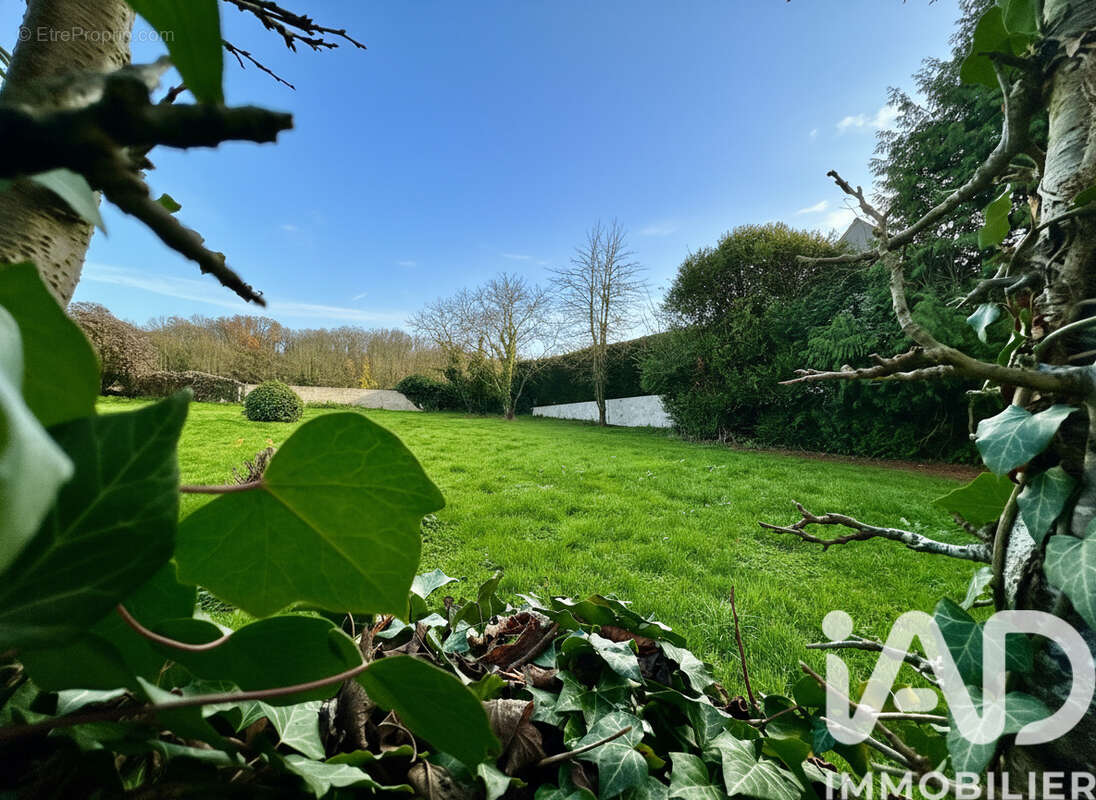 Photo 2 - Terrain à NOGENTEL