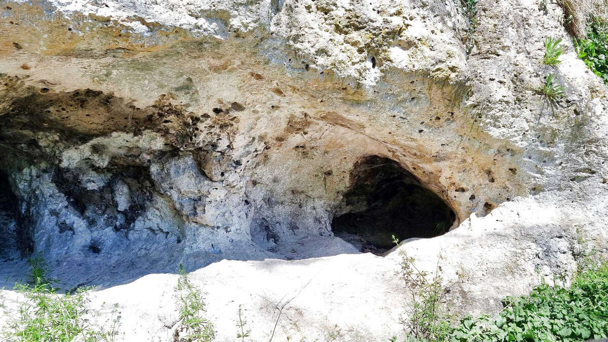 Très beau château datant du XVI ème entièrement rénové au milieu de 50 hectares et ses trois lacs situé dans l - photo 80