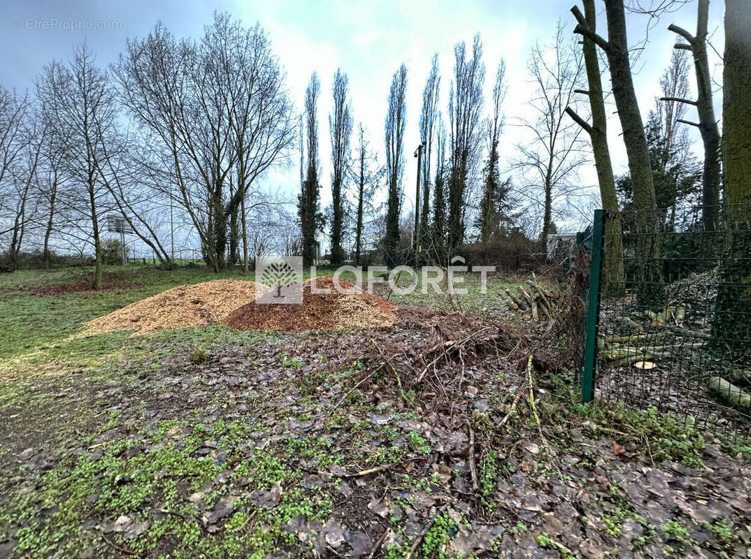 Commerce à LAMBRES-LEZ-DOUAI