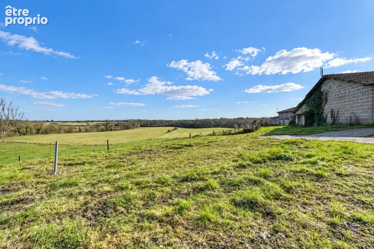 Local de 600m2 sur parcelle de 1000m2 - photo 12