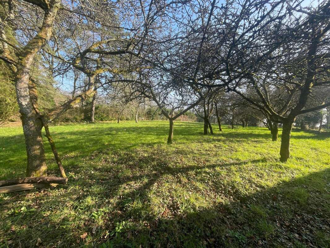 Photo 2 - Terrain à MOLAC