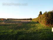 Terrain à COGNAC