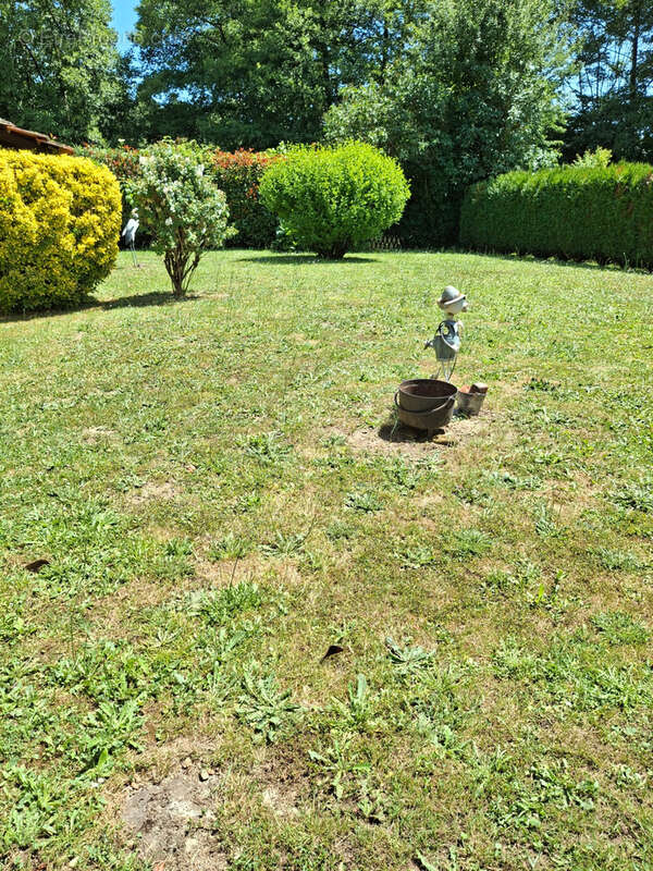 Maison de hameau au bord de la charente - photo 4