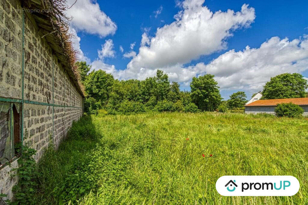 Terrain à OYE-PLAGE