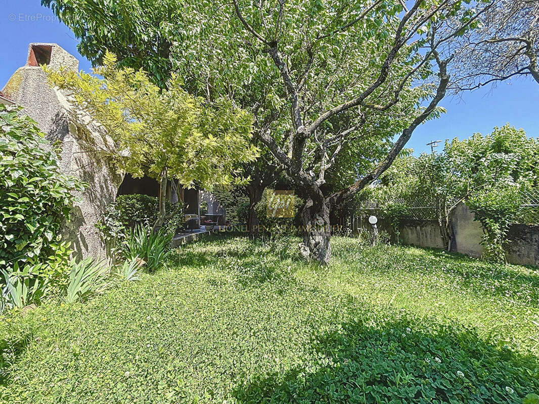 Maison à CARPENTRAS