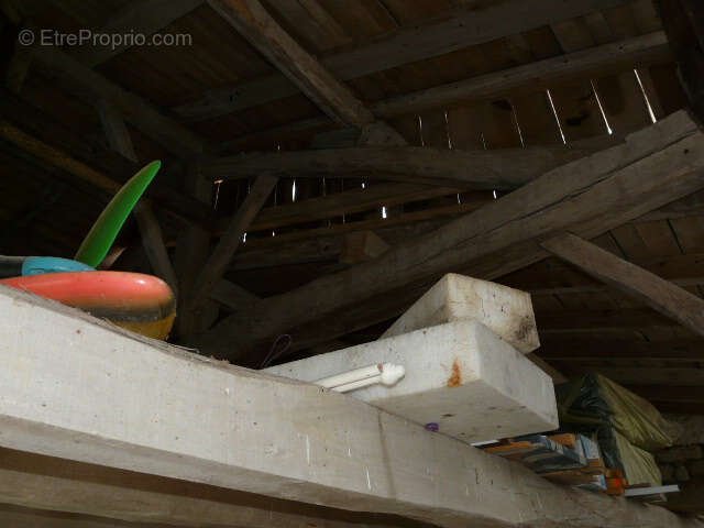 Ensemble de carractere - photo 11