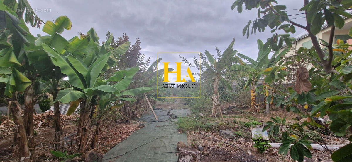 Terrain à SAINT-PAUL