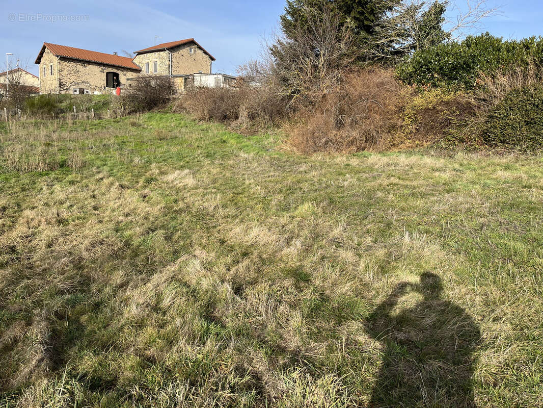Terrain à SAINT-MAURICE-DE-LIGNON