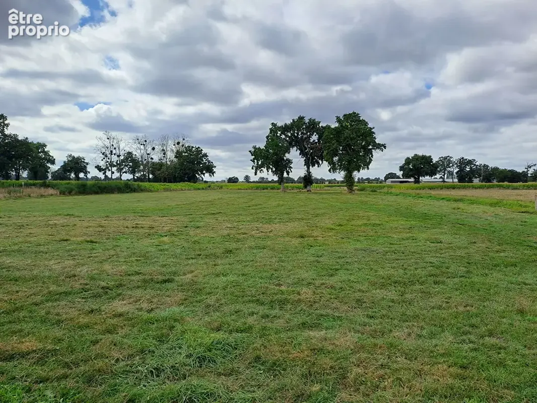Maison sur un terrain de 9700m² . - photo 16