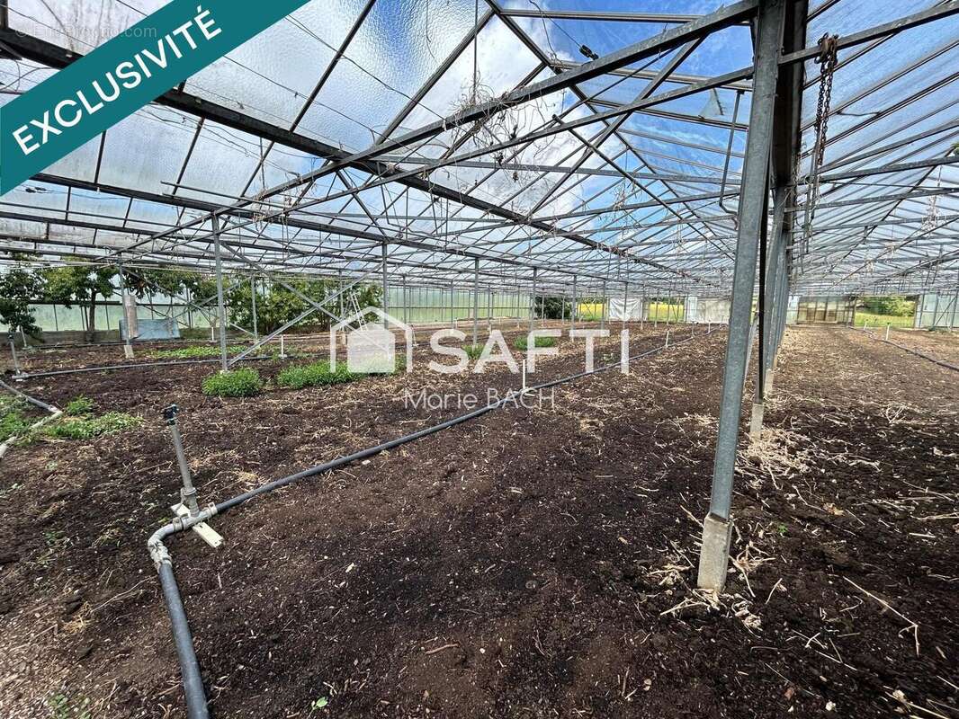 Photo 7 - Maison à SARRE-UNION