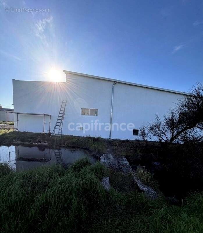 Parking à NOTRE-DAME-DE-MONTS