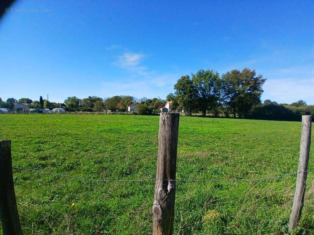 Maison à ROUMAZIERES-LOUBERT