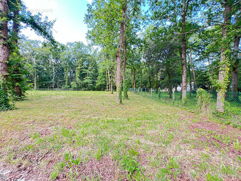 Terrain à LA TREMBLADE