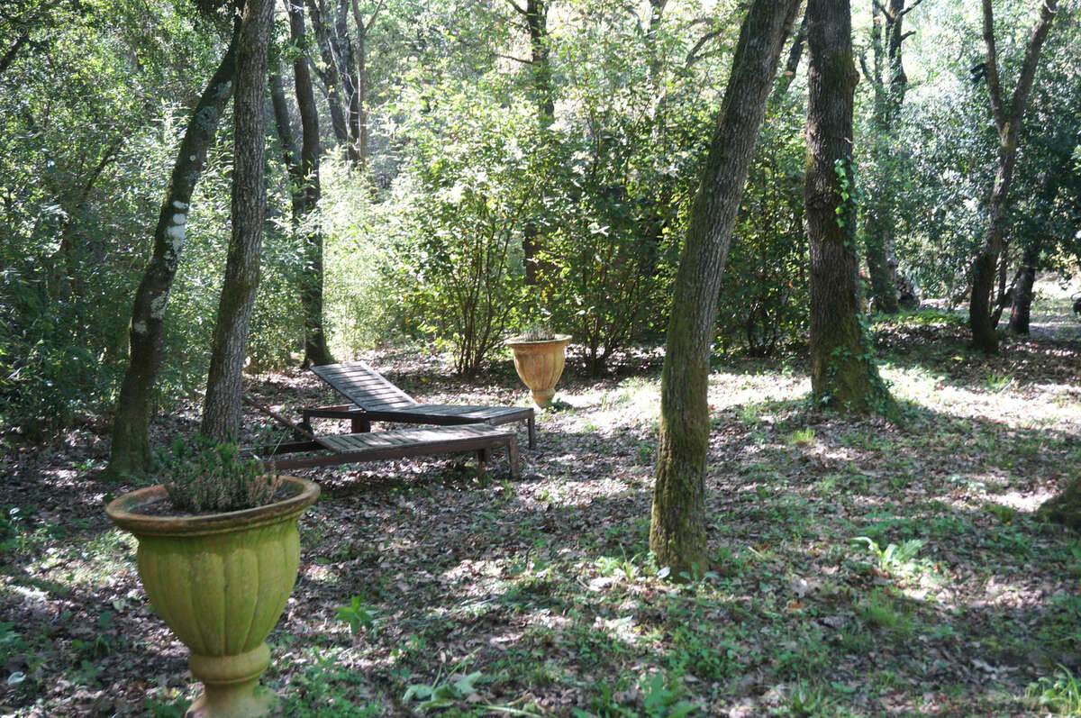 Terrain non constructible avec cabanon - photo 3