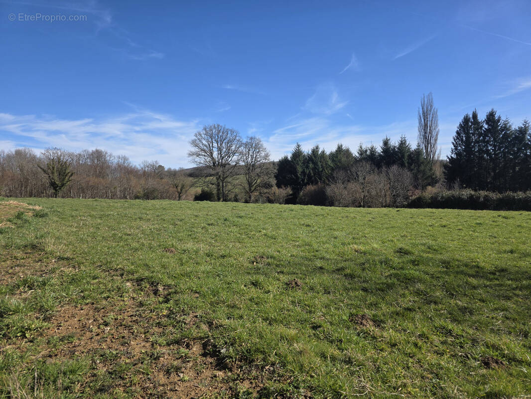 Terrain à SAINT-GEORGES-DE-MONS