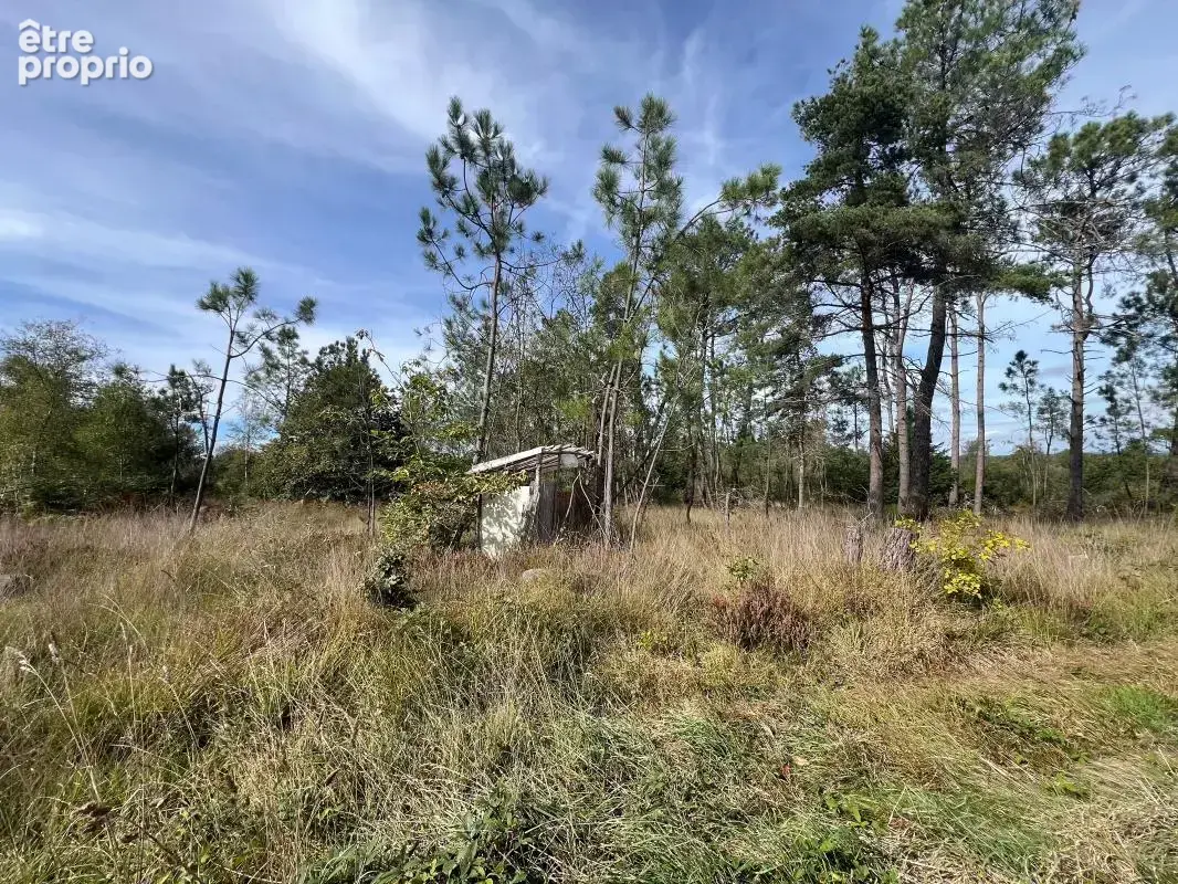 À vendre – argol – finistère – presqu’île de crozon-exceptionnel terrain de loisirs de 40 000 m² - photo 58