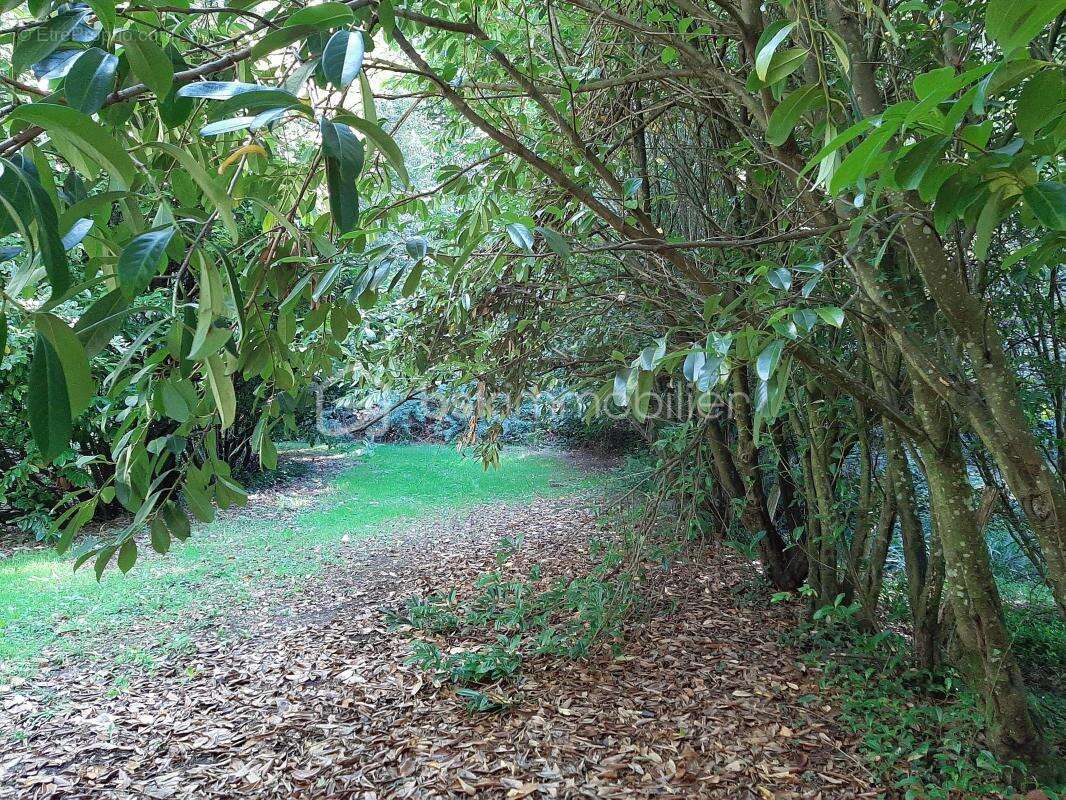 Terrain à COGNAC-LA-FORET