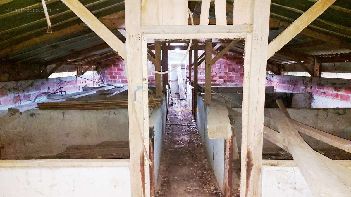 Commerce à CHAMPGENETEUX