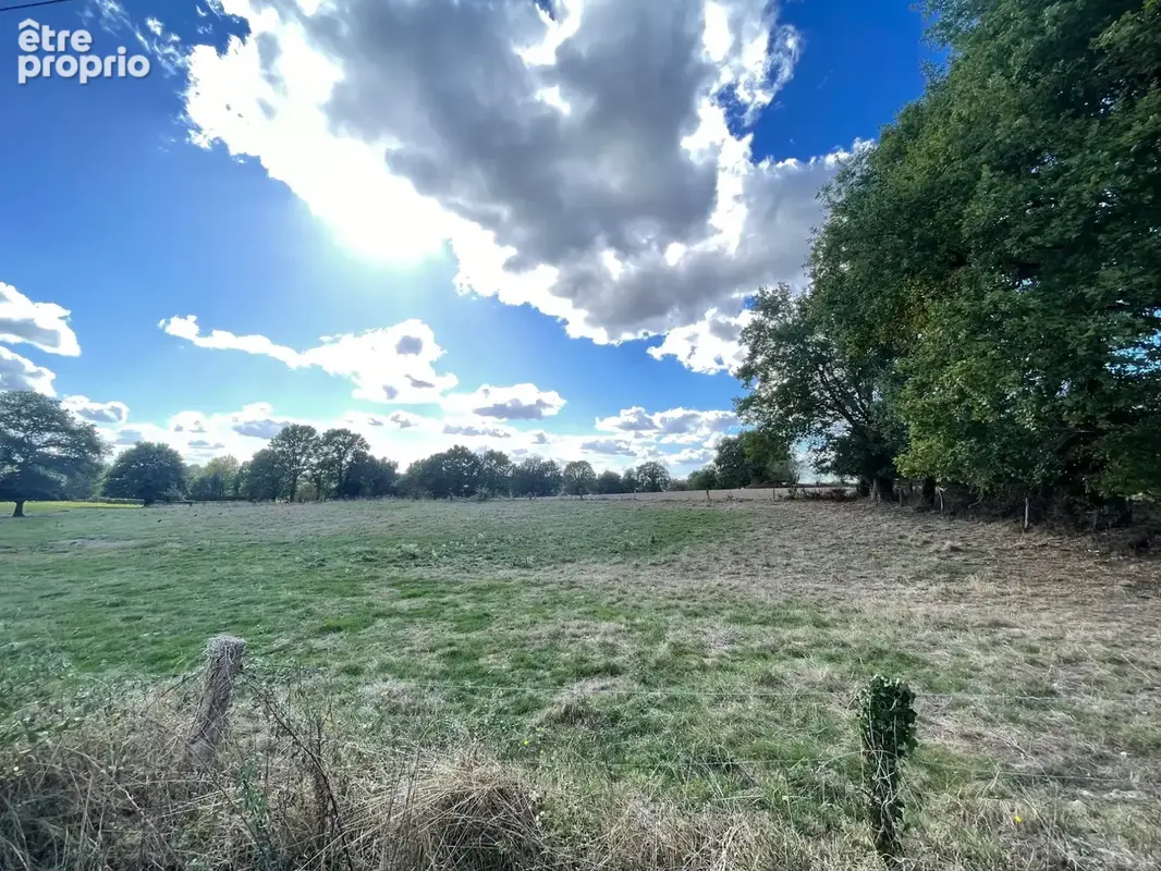 Terrain à SAINT-BAUDELLE