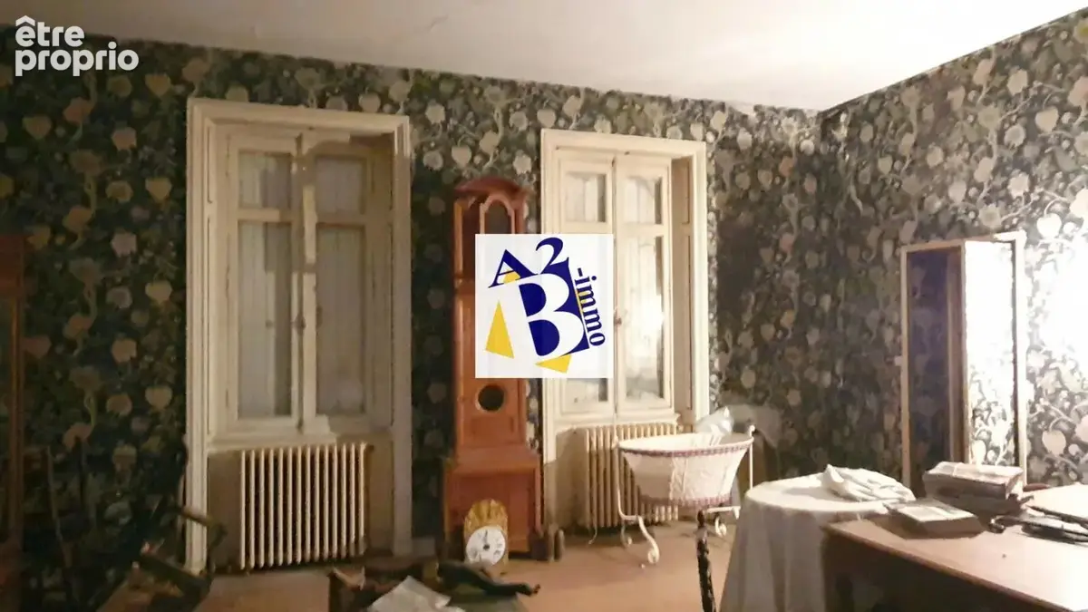 10 Min Cognac, Maison de Maitre à rénovée, dépendances - photo 23