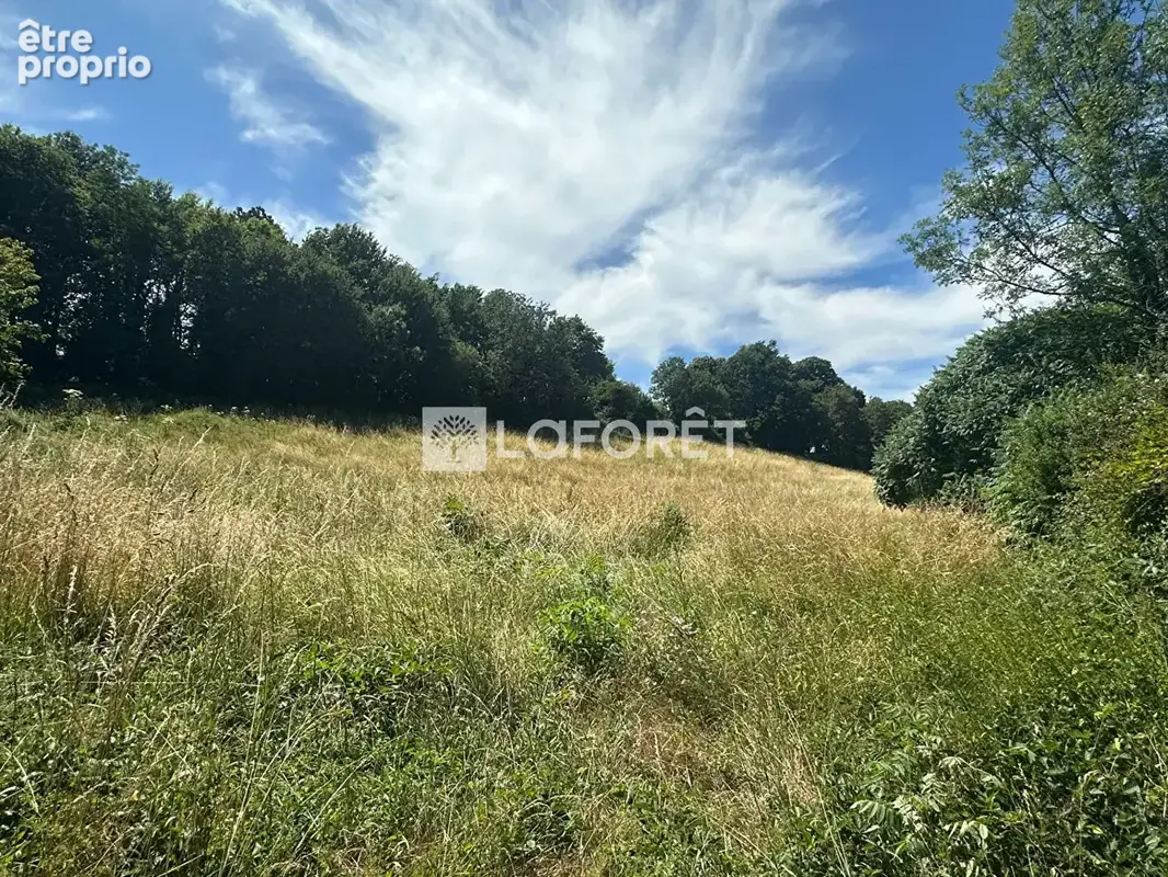 Terrain à CHATILLON-SUR-CHALARONNE