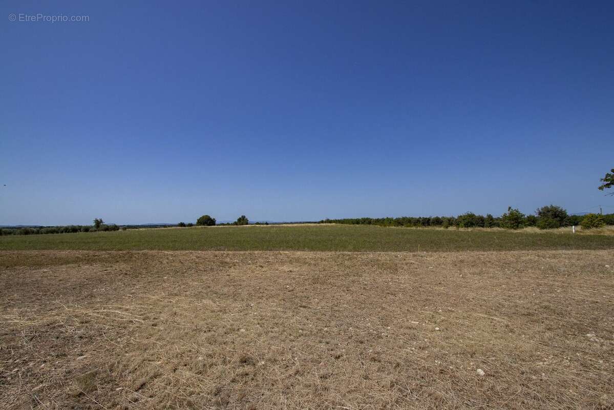 Terrain à PUIMOISSON