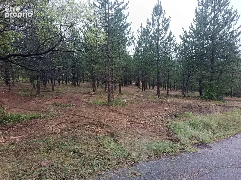 Terrain 400 m² à Mollans-Sur-Ouveze  - photo 2