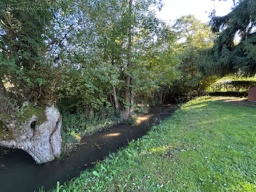 Maison à SAINT-SAUVEUR-EN-PUISAYE